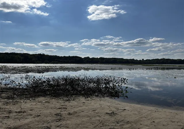 Photo 1 of Land for sale at 3734 109th Avenue, Allegan, MI 49010 | MLS# 70541988 | Listing updated on 2026-06-30