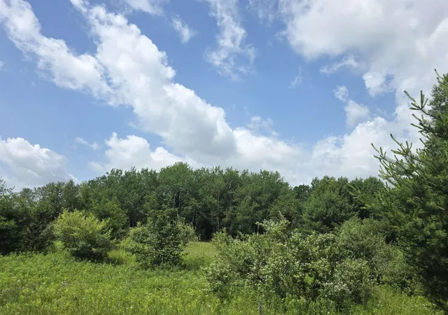 Homes for sale in Lupton, MI | 00 Sage Lake Rd, Lupton, MI 48635 | MLS# 80070524
