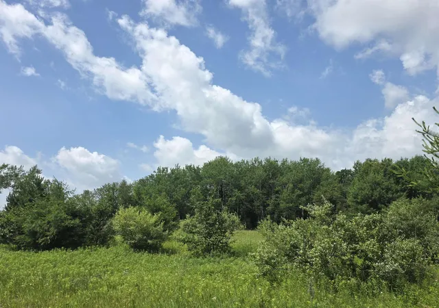 Homes for sale in Lupton, MI | 00 Sage Lake Rd, Lupton, MI 48635 | MLS# 80070524