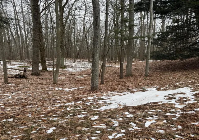 12th image of West Fox Farm Road, Manistee, MI 49660 | MLS# 70517085