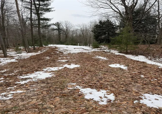 1st image of West Fox Farm Road, Manistee, MI 49660 | MLS# 70517085