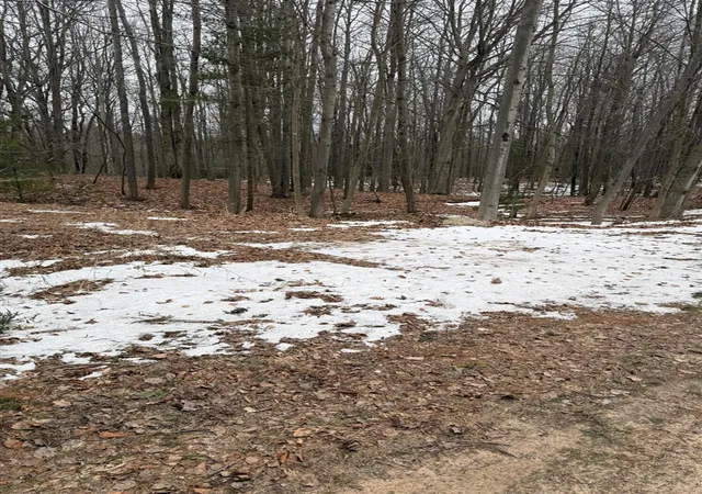 3rd image of West Fox Farm Road, Manistee, MI 49660 | MLS# 70517085