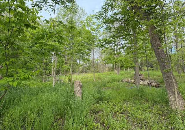 2nd image of 9200 Perry Rd, Atlas, MI 48411 | MLS# 60997065