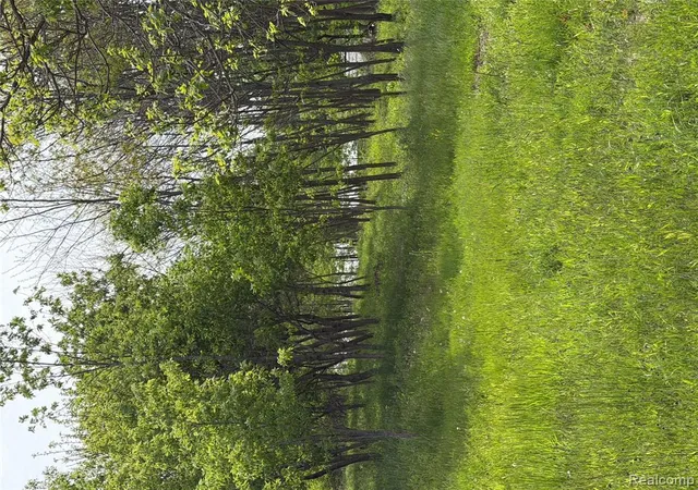 image of 9200 Perry Rd, Atlas, MI 48411 | MLS# 60997065