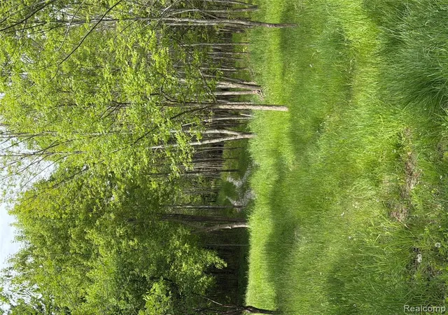 image of 9200 Perry Rd, Atlas, MI 48411 | MLS# 60997065