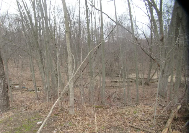 1st image of Williamsville St, Cassopolis, MI 49031 | MLS# 70516369