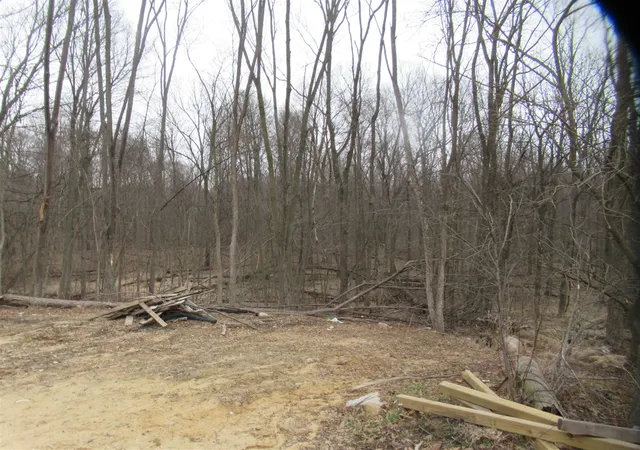 2nd image of Williamsville St, Cassopolis, MI 49031 | MLS# 70516369
