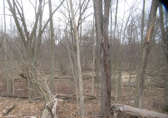Photo 3 of Land for sale at Williamsville St, Cassopolis, MI 49031 | MLS# 70516369 | Listing updated on 2026-08-20