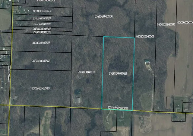 4th image of Williamsville St, Cassopolis, MI 49031 | MLS# 70516369