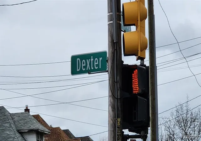 Homes for sale in Detroit, MI | 7356 Dexter Ave, Detroit, MI 48206 | MLS# 60974420
