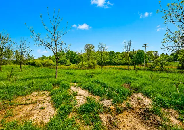 Photo 2 of Sale Pending at 00000 Mcguiness Rd, Dexter, MI 48130 | MLS# 70548204 | Listing updated on 2026-09-03