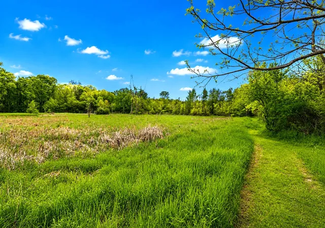 Photo 3 of Sale Pending at 00000 Mcguiness Rd, Dexter, MI 48130 | MLS# 70548204 | Listing updated on 2026-09-03