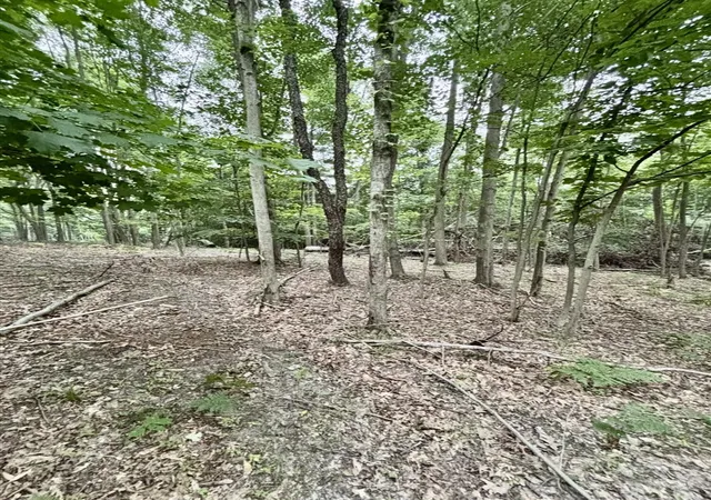 Photo 3 of Land for sale at V/l S 0 Elder Ave, Grant, MI 49327 | MLS# 70546727 | Listing updated on 2026-07-31