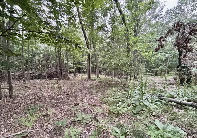 Photo 4 of Land for sale at V/l S 0 Elder Ave, Grant, MI 49327 | MLS# 70546727 | Listing updated on 2026-07-31