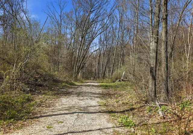 Homes for sale in Belding, MI | 0 W Bricker Rd, Belding, MI 48809 | MLS# 70528126