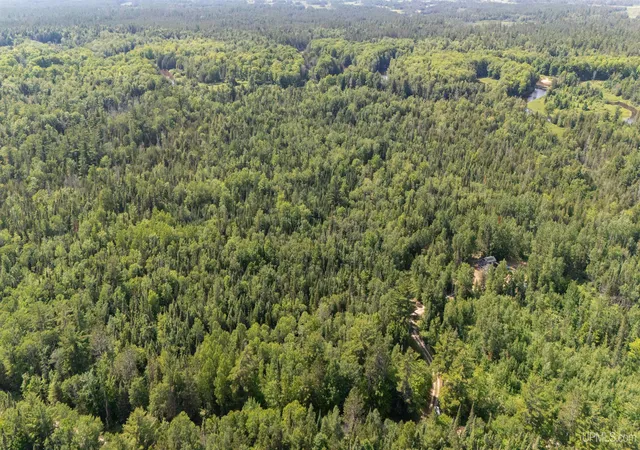 Photo 3 of Land for sale at Behind Blue Sky N River Rd, Gulliver, MI 49840 | MLS# 50215739 | Listing updated on 2026-08-13