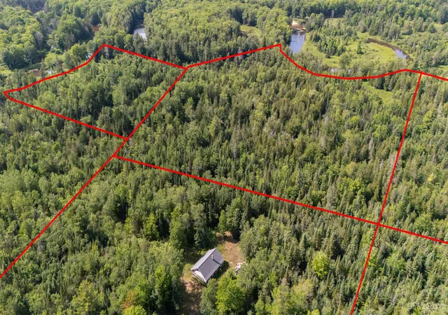 Photo 4 of Land for sale at Behind Blue Sky N River Rd, Gulliver, MI 49840 | MLS# 50215739 | Listing updated on 2026-08-13