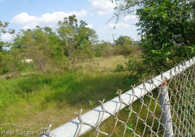 Photo 3 of Land for sale at 14852 Wyoming St, Detroit, MI 48238 | MLS# 60241912 | Listing updated on 2025-11-20