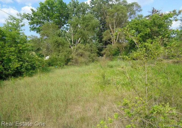 Photo 3 of Land for sale at 14852 Wyoming St, Detroit, MI 48238 | MLS# 60241912 | Listing updated on 2025-11-20