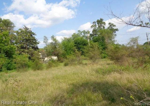 Photo 4 of Land for sale at 14852 Wyoming St, Detroit, MI 48238 | MLS# 60241912 | Listing updated on 2025-11-20