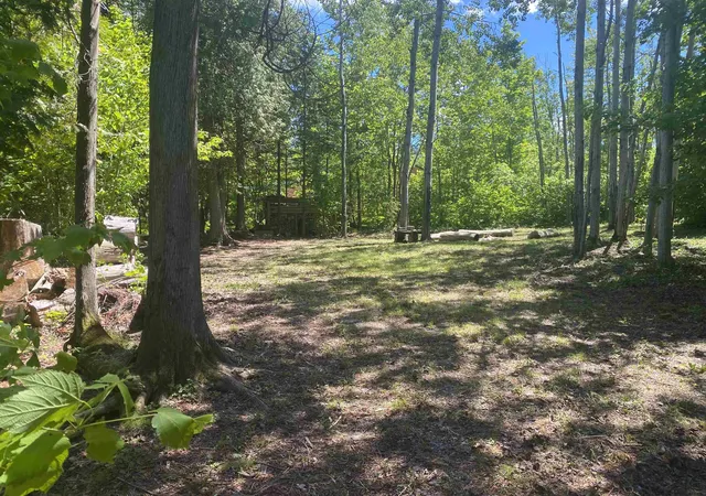 Homes for sale in Millersburg, MI | 22730 N Us Hwy 23 Hwy, Millersburg, MI 49759 | MLS# 50211653