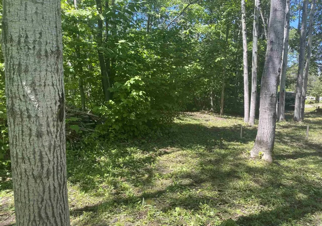 Homes for sale in Millersburg, MI | 22730 N Us Hwy 23 Hwy, Millersburg, MI 49759 | MLS# 50211653