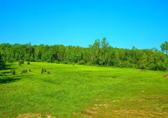3rd image of Lot D Ewing Rd, Lawton, MI 49065 | MLS# 70514583