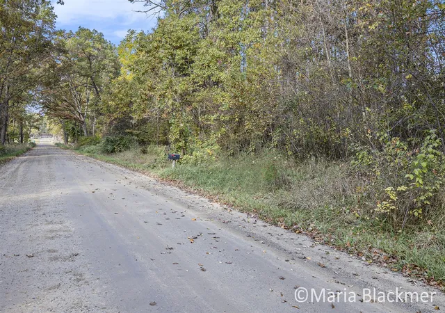 Homes for sale in Ionia, MI | E Charles Rd, Ionia, MI 48846 | MLS# 70499664