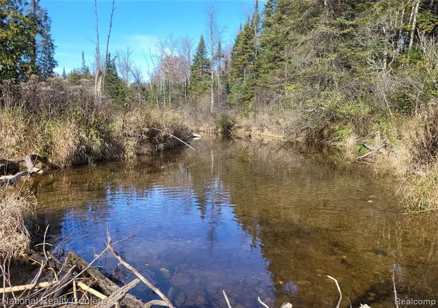 4th image of 8109 M 55, Whittemore, MI 48770 | MLS# 60995477
