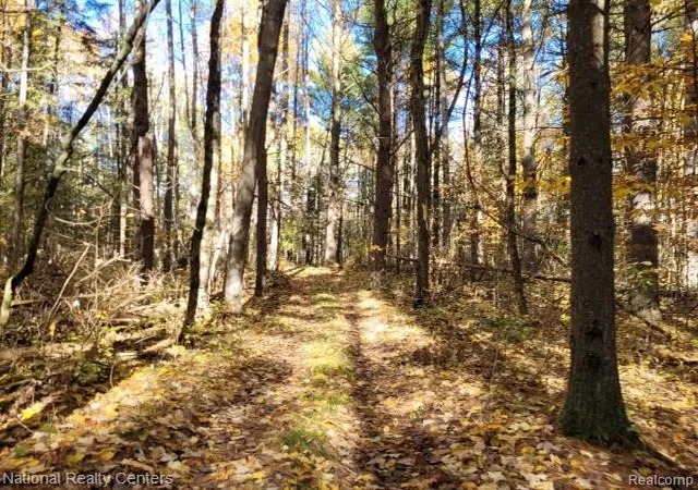 5th image of 8109 M 55, Whittemore, MI 48770 | MLS# 60995477