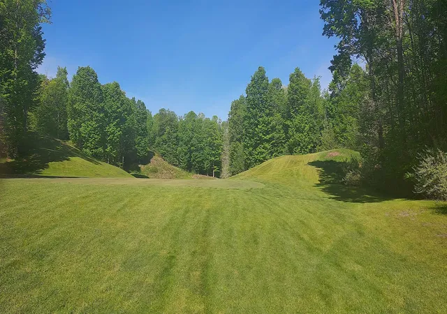 8th image of 54 Sparrow Hawk Dr, Bellaire, MI 49615 | MLS# 80070988