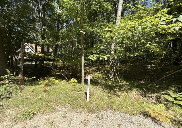 Land for sale at 12090 Dubois Dr, Stanwood, MI 49346-9606 | MLS# 70554927