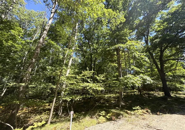 Photo 2 of Land for sale at 12090 Dubois Dr, Stanwood, MI 49346 | MLS# 70554927 | Listing updated on 2026-08-27