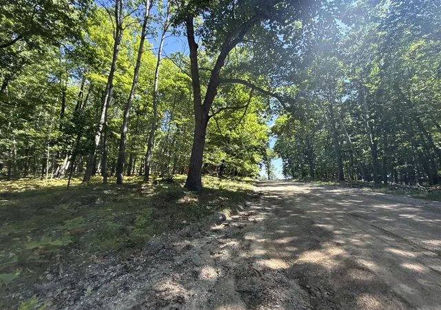 Photo 3 of Land for sale at 12090 Dubois Dr, Stanwood, MI 49346 | MLS# 70554927 | Listing updated on 2026-08-27