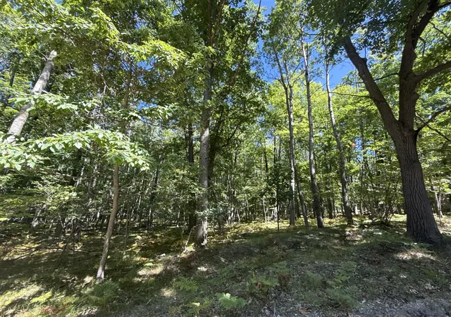 Photo 3 of Land for sale at 12090 Dubois Dr, Stanwood, MI 49346 | MLS# 70554927 | Listing updated on 2026-08-27