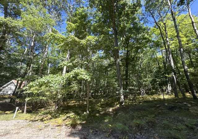 Photo 4 of Land for sale at 12090 Dubois Dr, Stanwood, MI 49346 | MLS# 70554927 | Listing updated on 2026-08-27