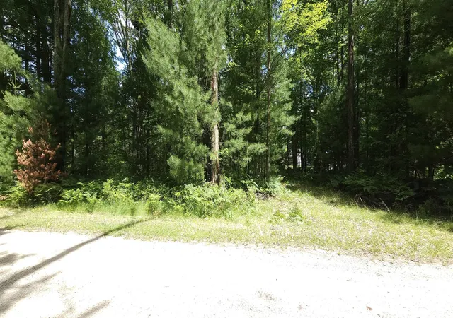 Homes for sale in Prescott, MI | 00 Red Oak Trl, Prescott, MI 48610 | MLS# 80070027