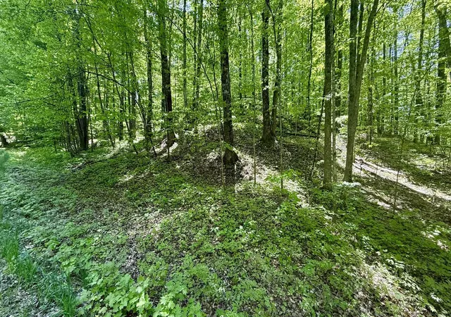 Homes for sale in Bellaire, MI | Lot 130 Maromir Ct, Bellaire, MI 49615 | MLS# 80052971