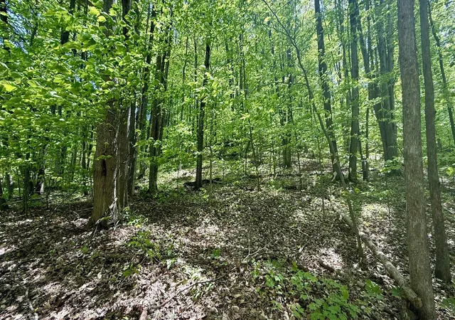Homes for sale in Bellaire, MI | Lot 130 Maromir Ct, Bellaire, MI 49615 | MLS# 80052971