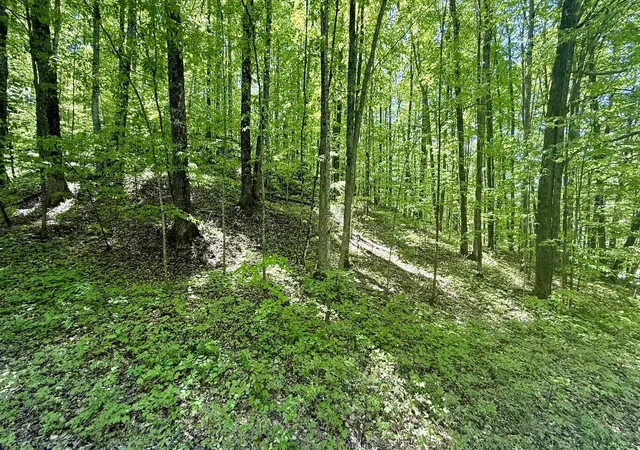 Homes for sale in Bellaire, MI | Lot 130 Maromir Ct, Bellaire, MI 49615 | MLS# 80052971