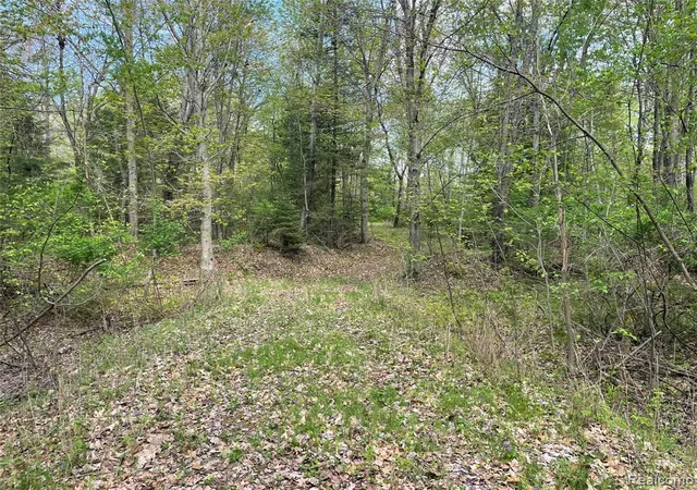 Homes for sale in Au Gres, MI | Na Oakridge Dr, Au Gres, MI 48703 | MLS# 60995122