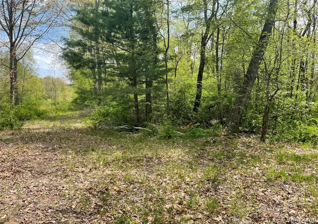 Homes for sale in Au Gres, MI | Na Oakridge Dr, Au Gres, MI 48703 | MLS# 60995122