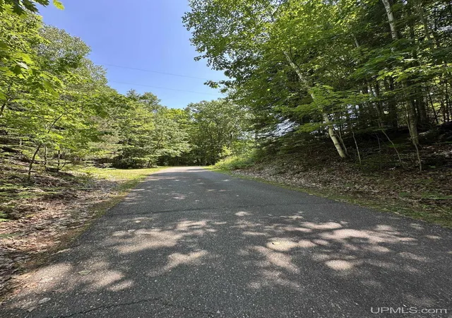 Homes for sale in Gwinn, MI | 1111 W Little Shag Lake Rd, Gwinn, MI 49841 | MLS# 50206673