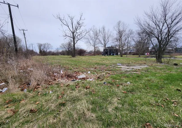 Photo 1 of Land for sale at 958 Kitchener St, Detroit, MI 48215 | MLS# 61013237 | Listing updated on 2026-07-21