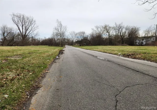 Photo 4 of Land for sale at 958 Kitchener St, Detroit, MI 48215 | MLS# 61013237 | Listing updated on 2026-07-21