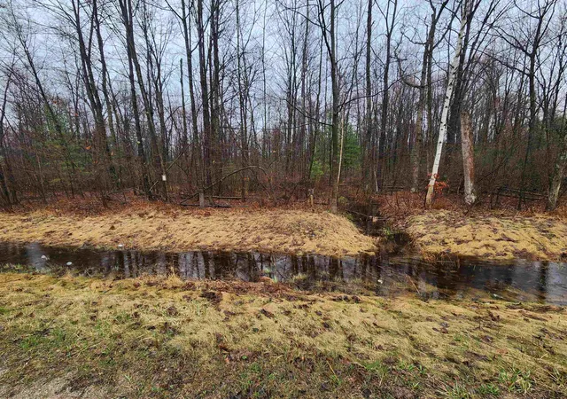 Homes for sale in Beaverton, MI | V/l W Howard Rd, Beaverton, MI 48612 | MLS# 50205011