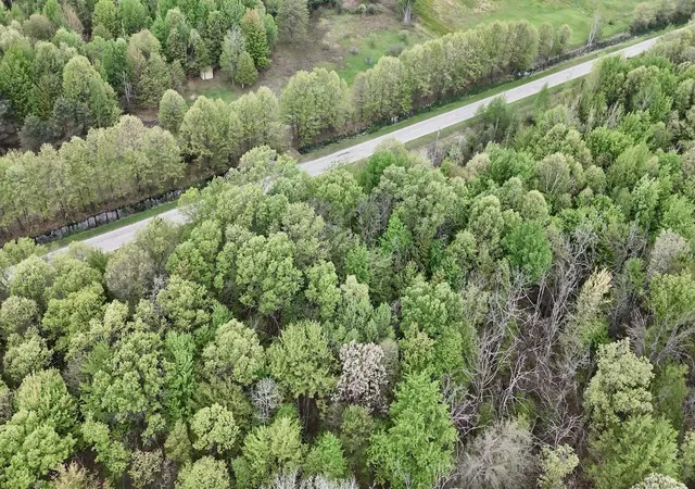 3rd image of N Magruder Rd, Coleman, MI 48618 | MLS# 70510219