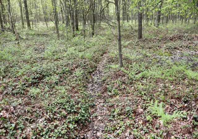 4th image of N Magruder Rd, Coleman, MI 48618 | MLS# 70510219