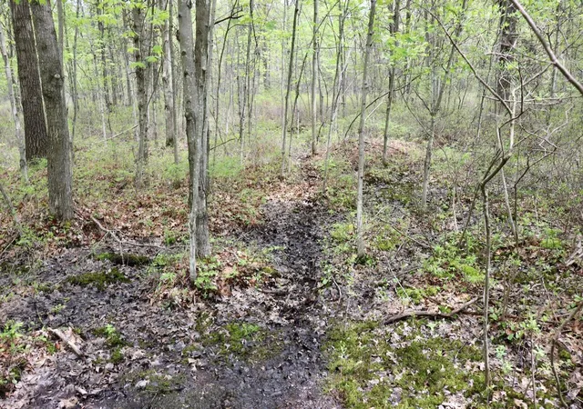 5th image of N Magruder Rd, Coleman, MI 48618 | MLS# 70510219