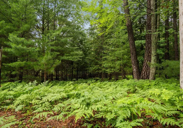 Photo 3 of Land for sale at 00 Business Park Dr, Traverse City, MI 49686 | MLS# 80065506 | Listing updated on 2026-07-24